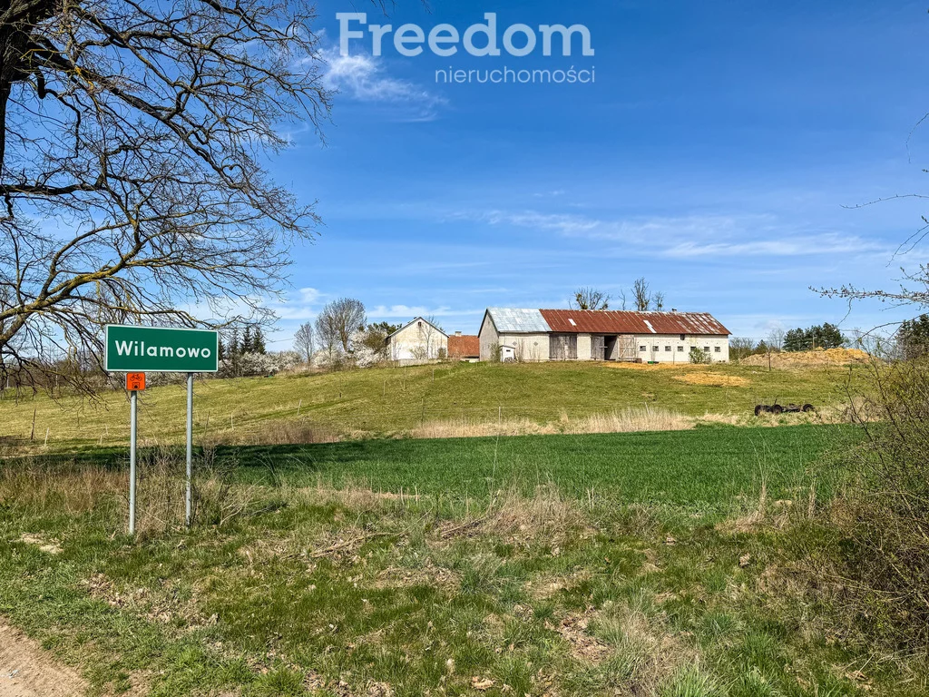 15168/3685/ODS - zdjęcie nr 2