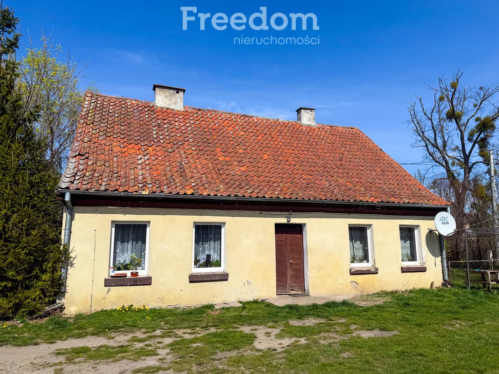 15168/3685/ODS - zdjęcie nr 3