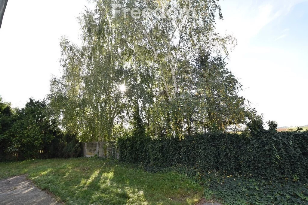 Dom 80,00 m², oferta nr , 15050/3685/ODS, Wilków