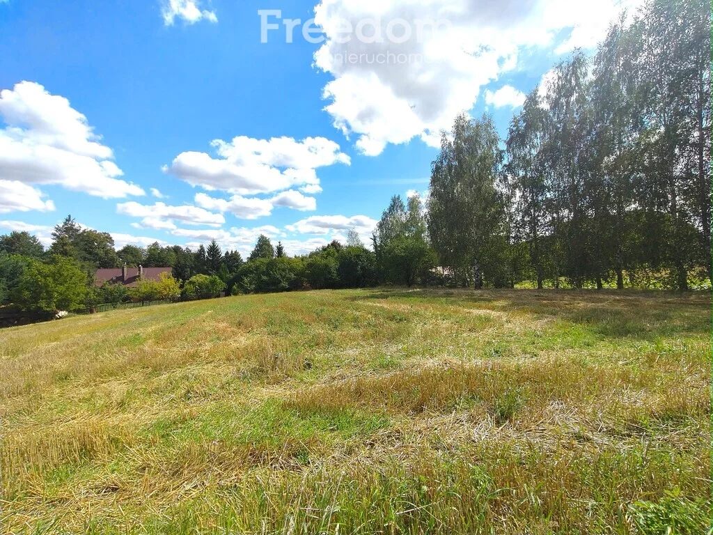 16084/3685/ODS - zdjęcie nr 4