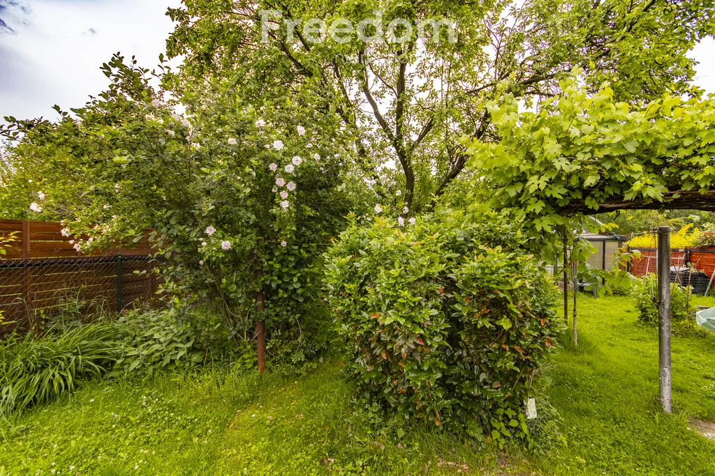 15656/3685/ODS - zdjęcie nr 4