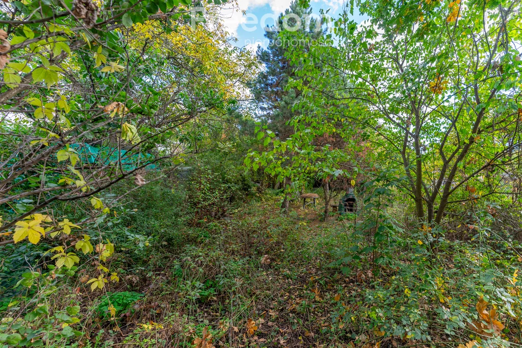 Dom 100,00 m², oferta nr , 16446/3685/ODS, Góra Kalwaria, Księdza Zygmunta Sajny