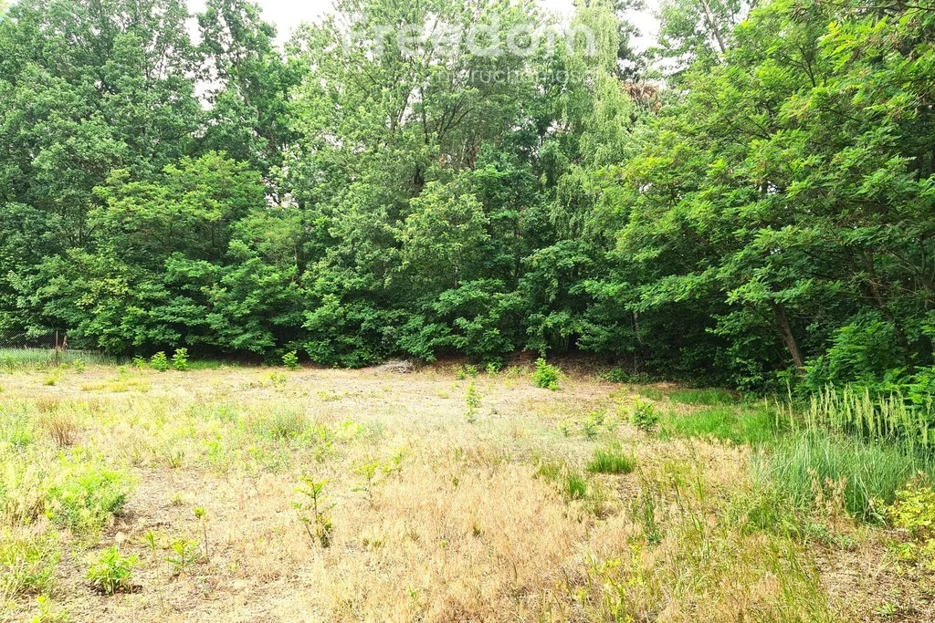 Dom 226,00 m², oferta nr , 12326/3685/ODS, Łuków, Międzyrzecka