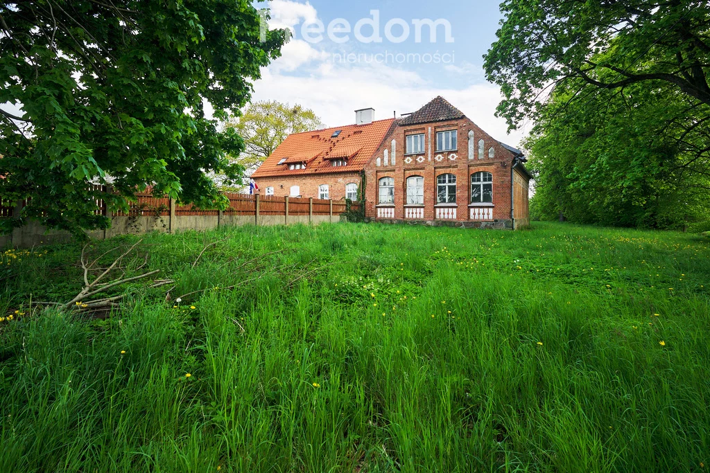 15399/3685/ODS - zdjęcie nr 2