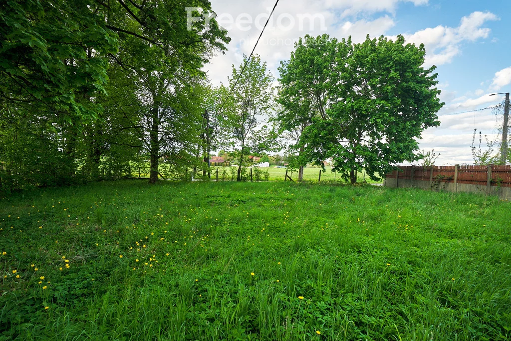 15399/3685/ODS - zdjęcie nr 3