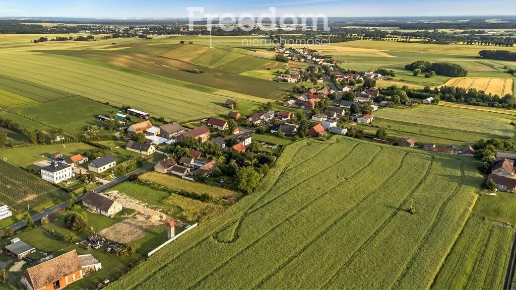 15732/3685/ODS - zdjęcie nr 0