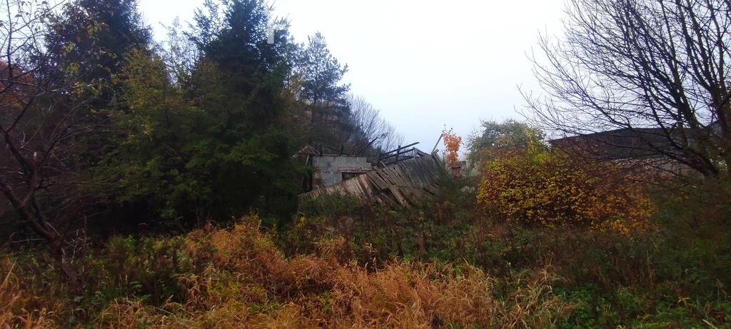 Dom 91,00 m², oferta nr , 16466/3685/ODS, Michalin, Strumykowa