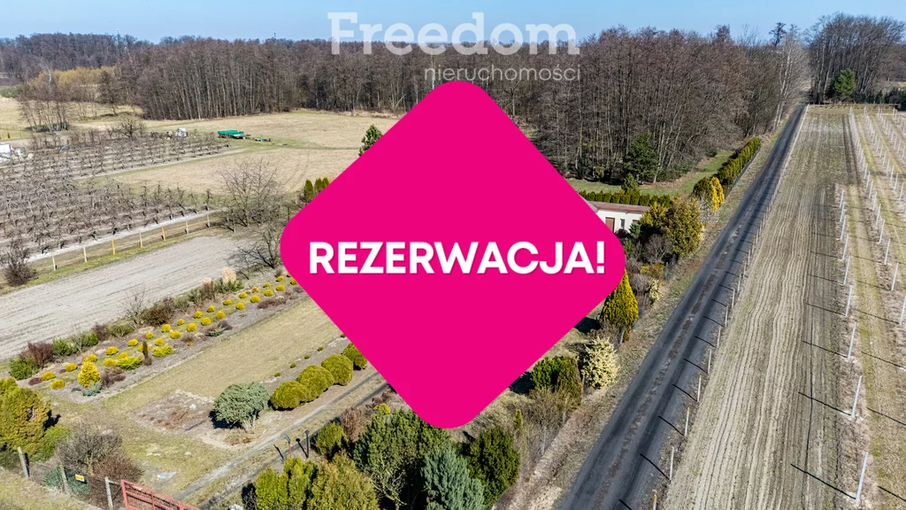 14979/3685/ODS - zdjęcie nr 0