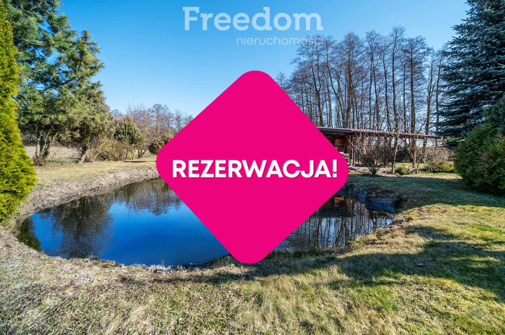 14979/3685/ODS - zdjęcie nr 1