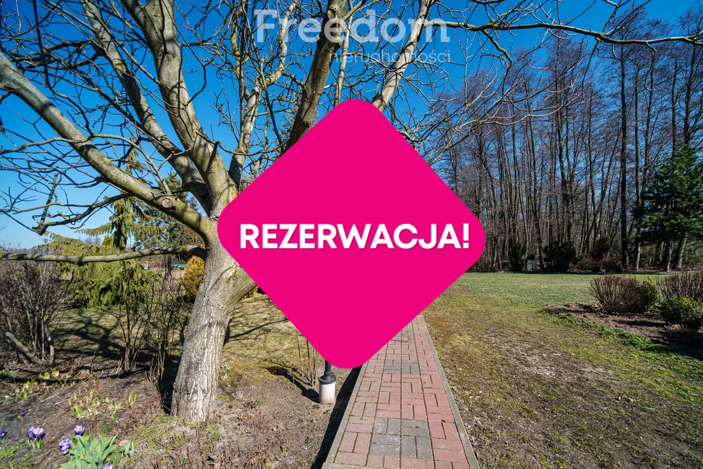 14979/3685/ODS - zdjęcie nr 2