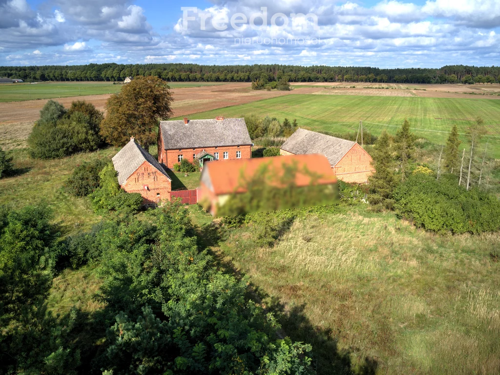 Dom 300,00 m², oferta nr , 13299/3685/ODS, Jędrzejewo