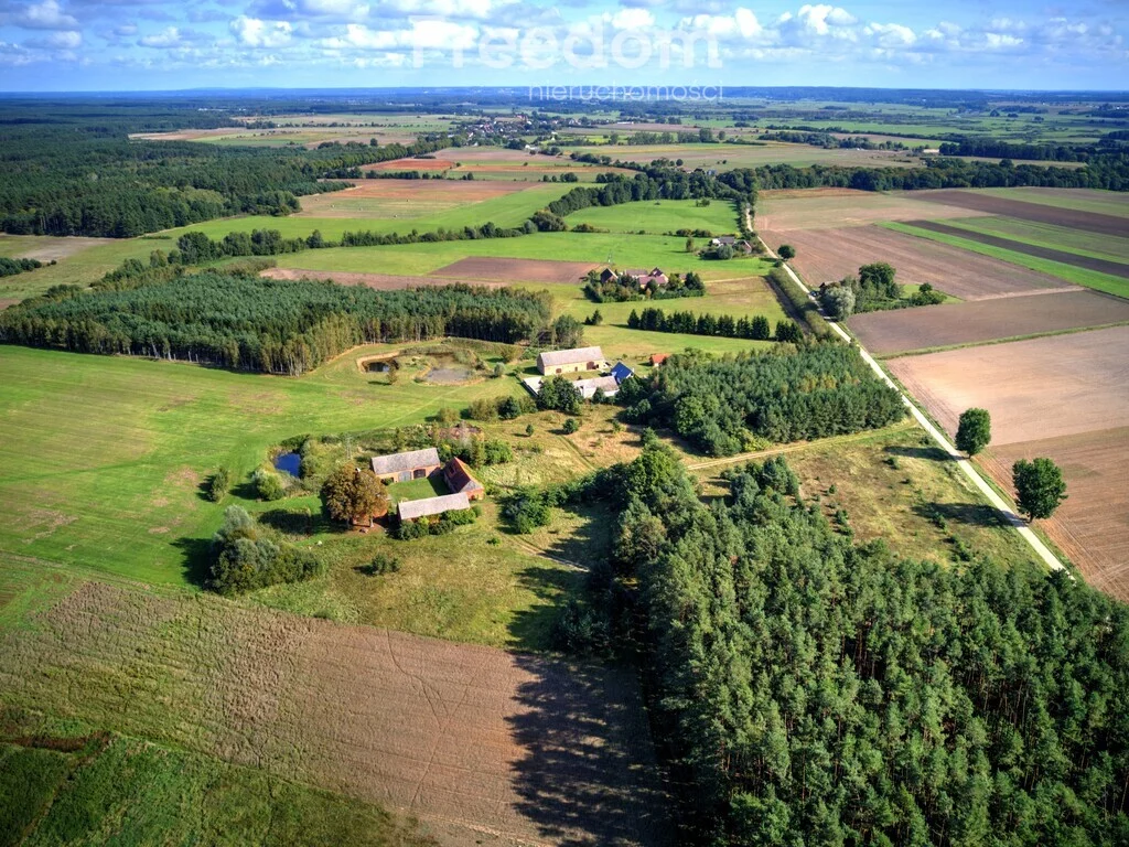 Dom 300,00 m², oferta nr , 13299/3685/ODS, Jędrzejewo