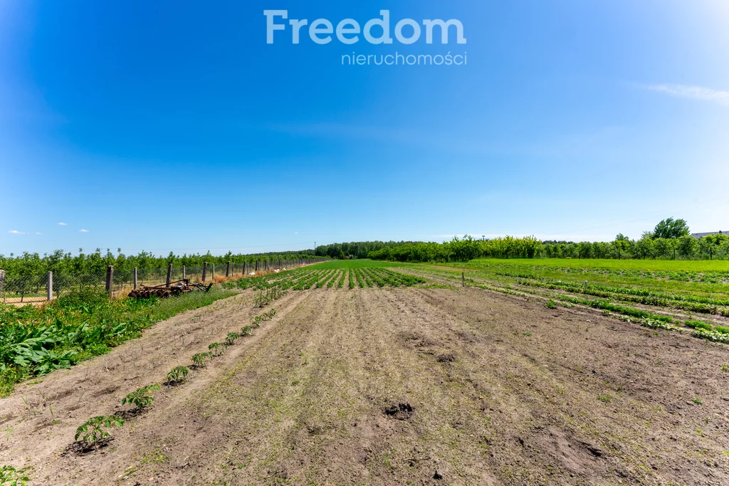 Dom 250,00 m², oferta nr , 15534/3685/ODS, Chynów, Warecka