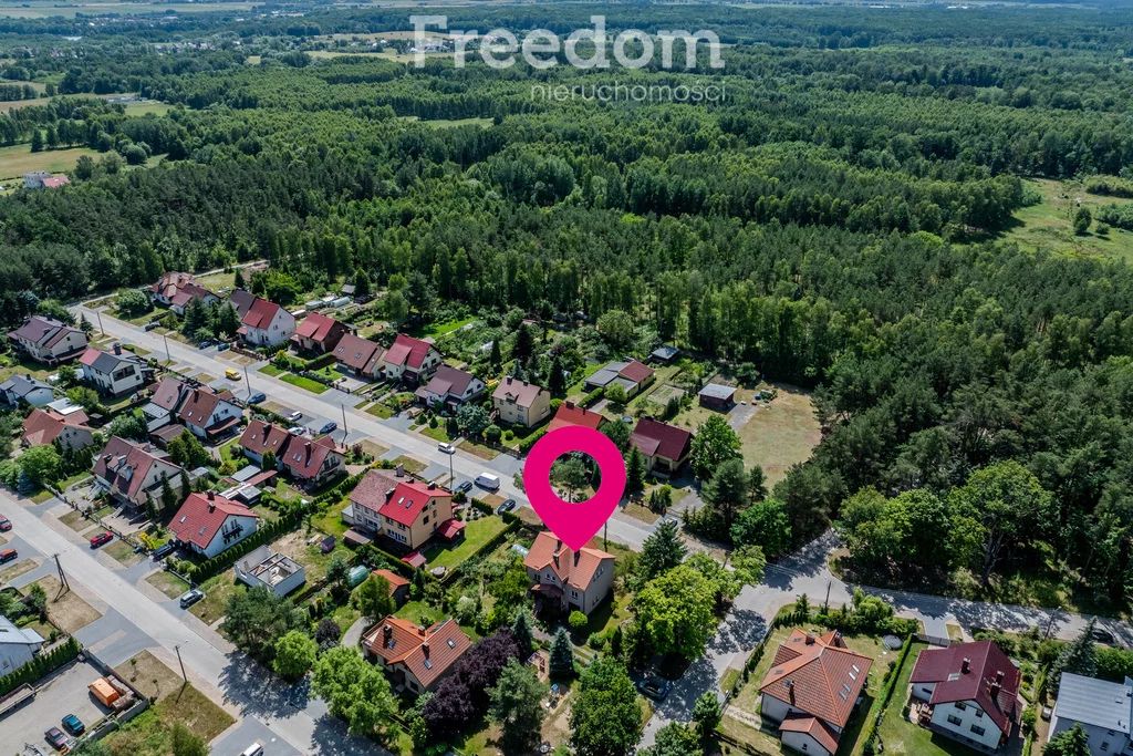 15504/3685/ODS - zdjęcie nr 1