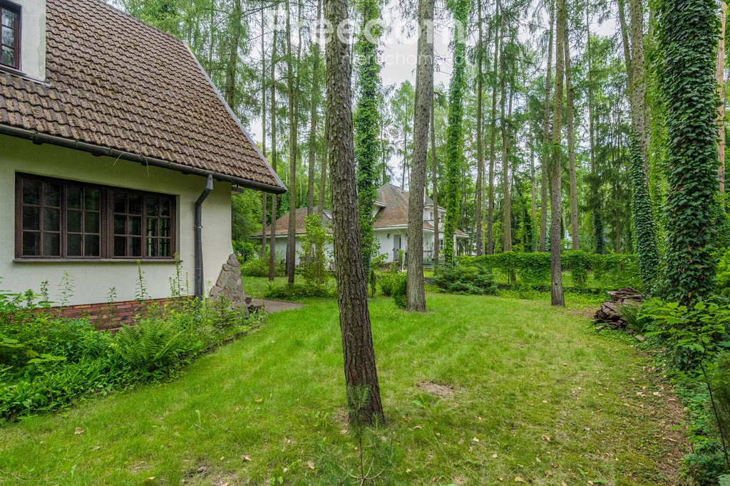 14689/3685/ODS - zdjęcie nr 1
