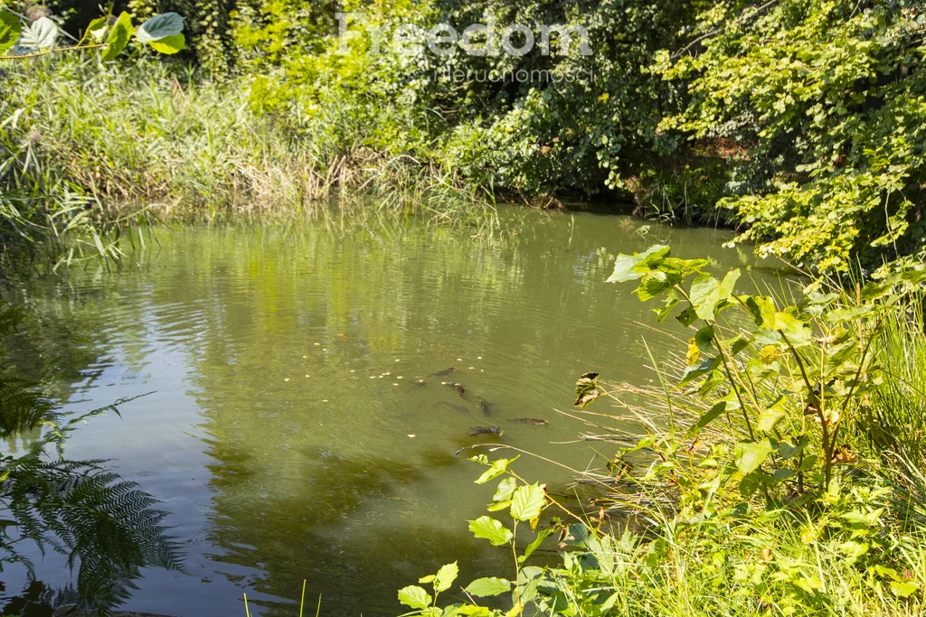 Dom 164,00 m², oferta nr , 13270/3685/ODS, Jarnołtówek