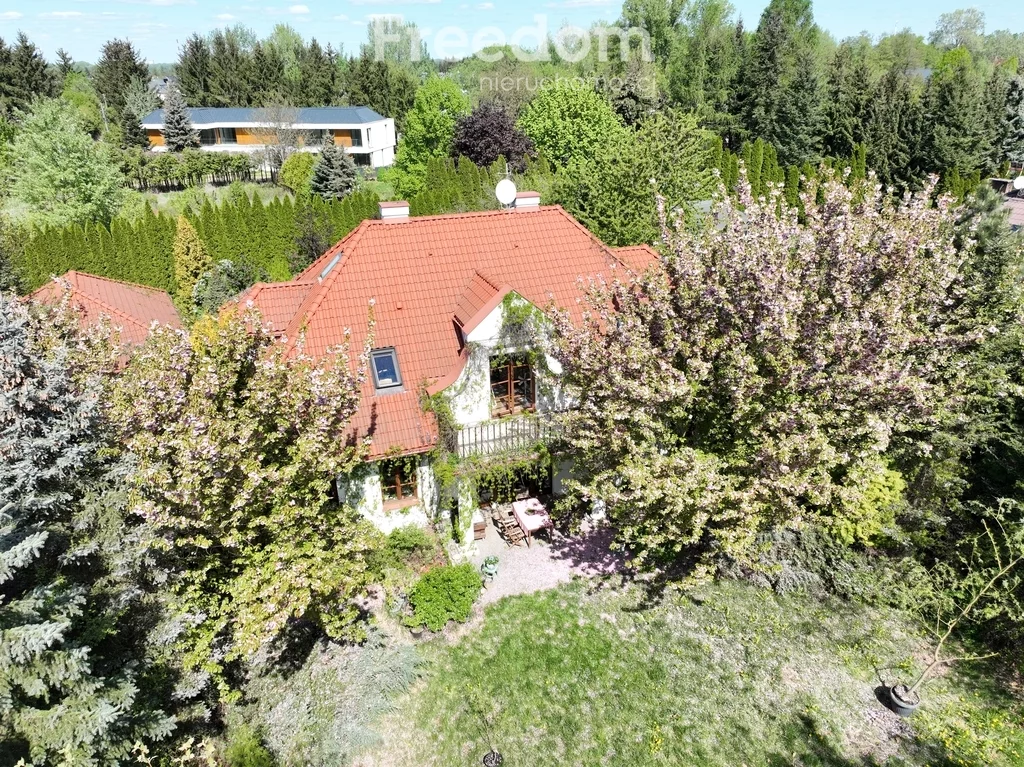 15904/3685/ODS - zdjęcie nr 1