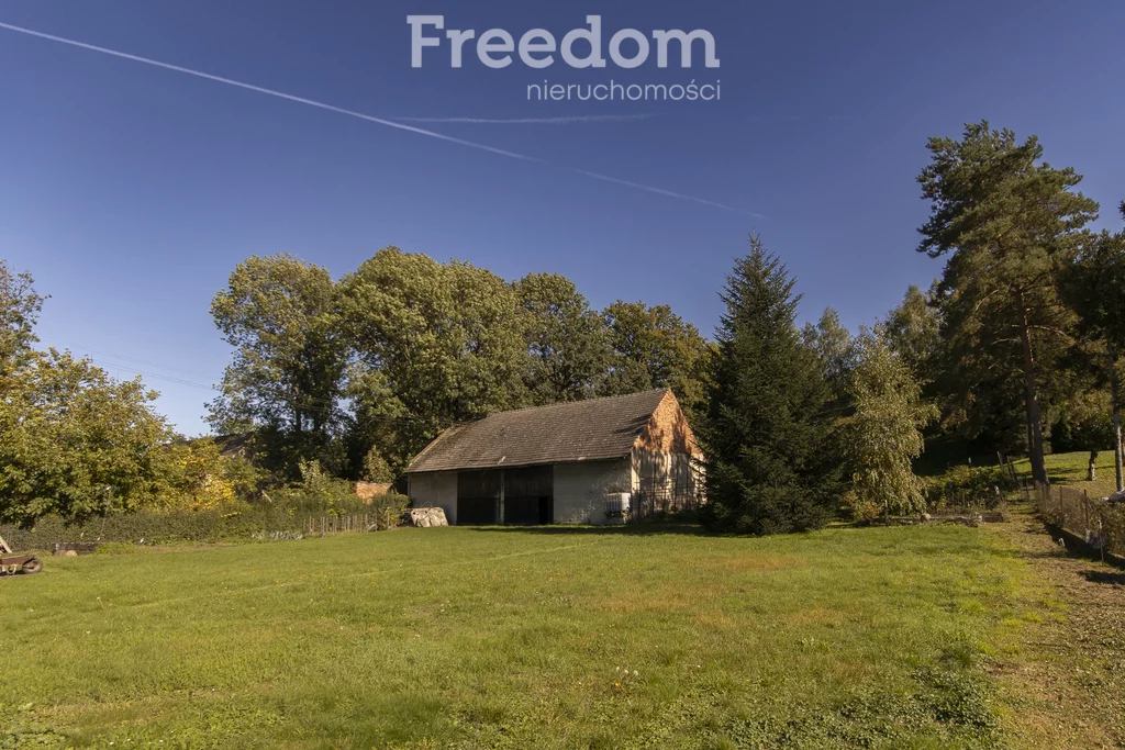 Dom 250,00 m², oferta nr , 13407/3685/ODS, Ścinawa Mała, Niemodlińska