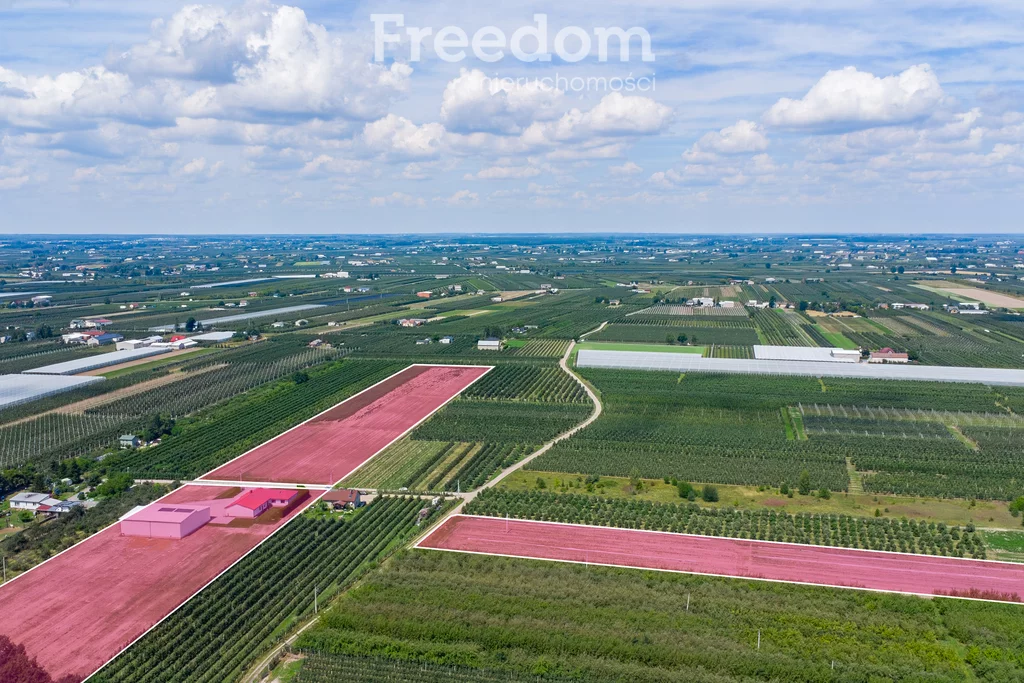 Dom 180,00 m², oferta nr , 15891/3685/ODS, Wilków Drugi