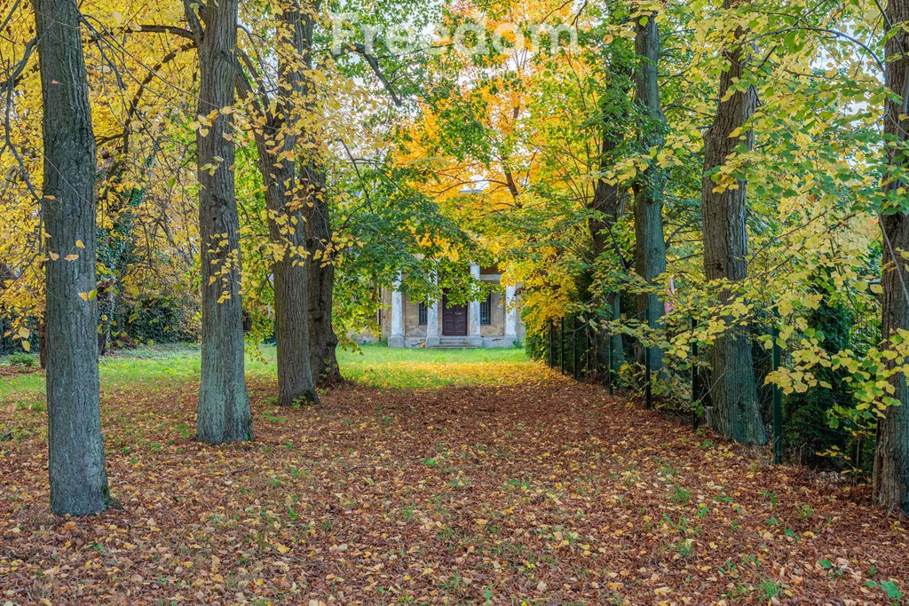 Dom 450,00 m², oferta nr , 16509/3685/ODS, Grodzisk Mazowiecki, Szczęsna