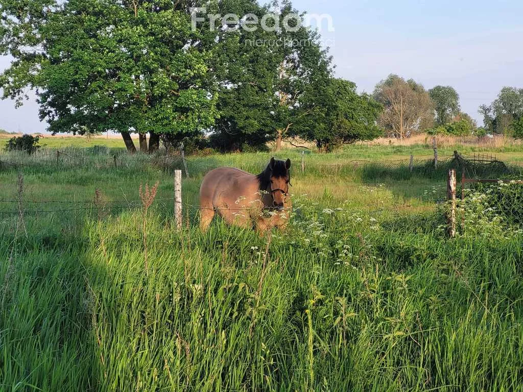 Działka 873,00 m², oferta nr , 8059/3685/OGS, Świnoujście, 1 Maja