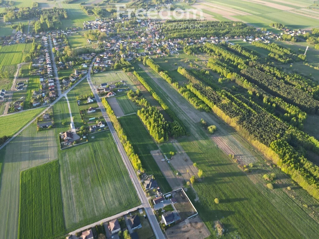 10465/3685/OGS - zdjęcie nr 3