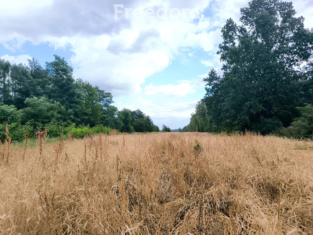 11177/3685/OGS - zdjęcie nr 0