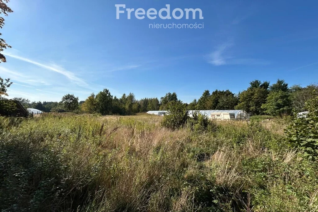 Działka 889,00 m², oferta nr , 11402/3685/OGS, Zakole-Wiktorowo, Akacjowa
