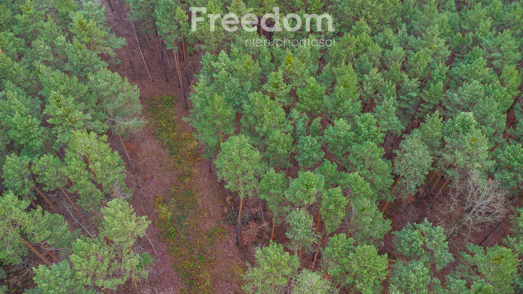 Działka 2 392,00 m², oferta nr , 9233/3685/OGS, Sękocin-Las, Al. Krakowska