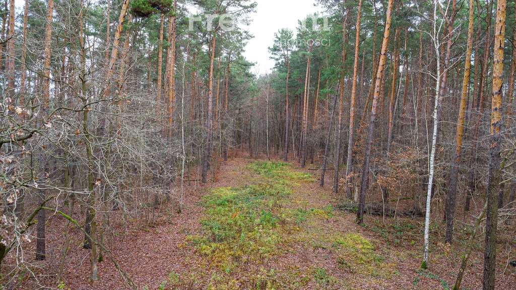 Działka 2 392,00 m², oferta nr , 9233/3685/OGS, Sękocin-Las, Al. Krakowska