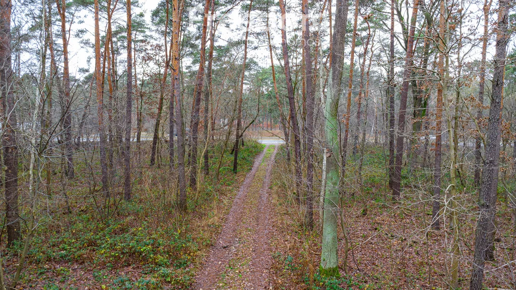 Działka 2 392,00 m², oferta nr , 9233/3685/OGS, Sękocin-Las, Al. Krakowska