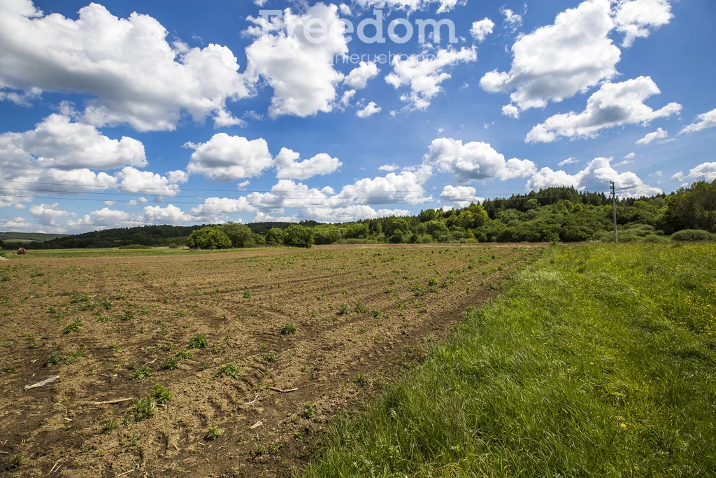 Działka 7 900,00 m², oferta nr , 10521/3685/OGS, Bachów