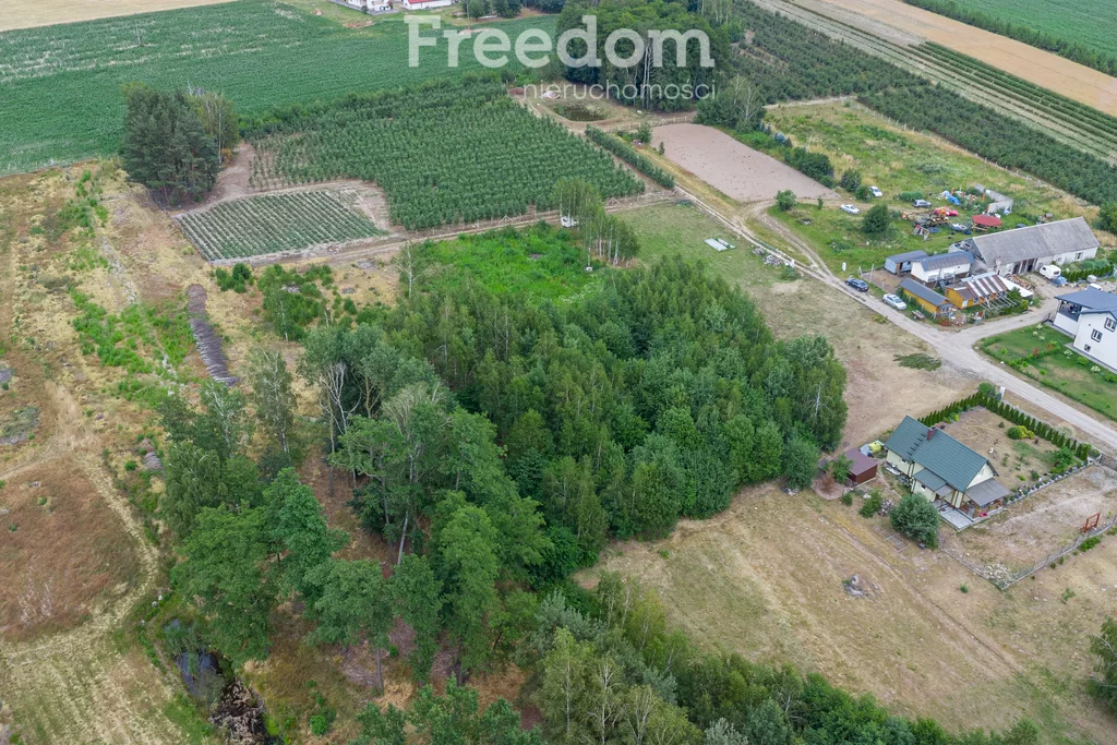 Działka 4 000,00 m², oferta nr , 10918/3685/OGS, Badowo-Dańki