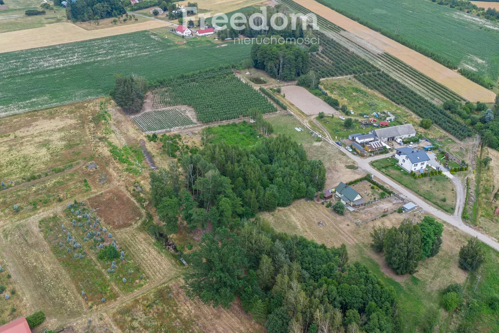 Działka 4 000,00 m², oferta nr , 10918/3685/OGS, Badowo-Dańki