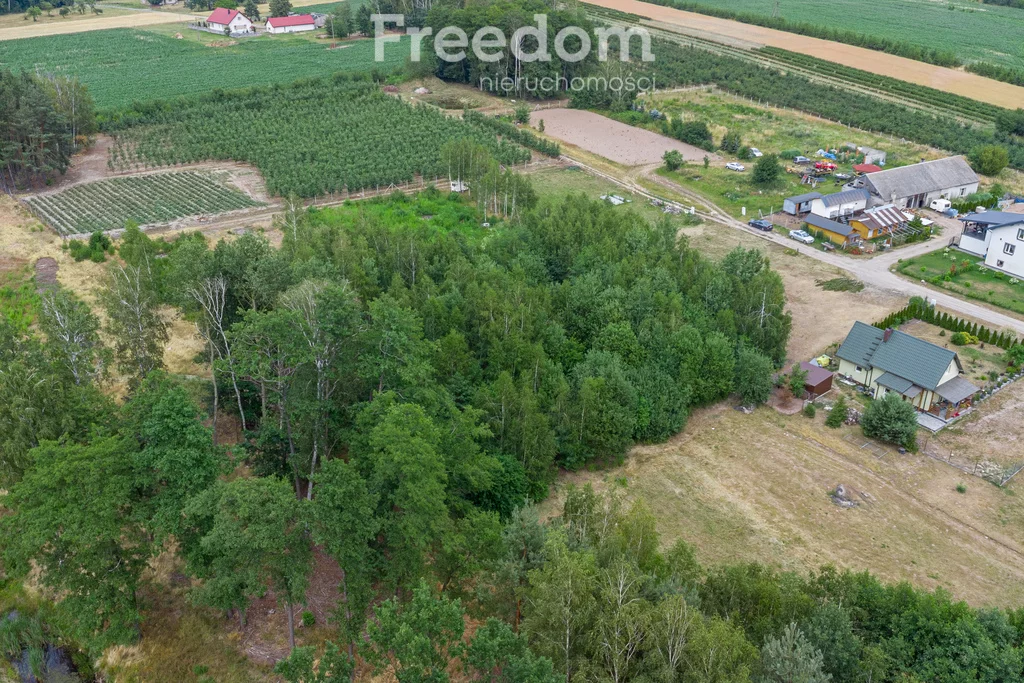 Działka 4 000,00 m², oferta nr , 10918/3685/OGS, Badowo-Dańki