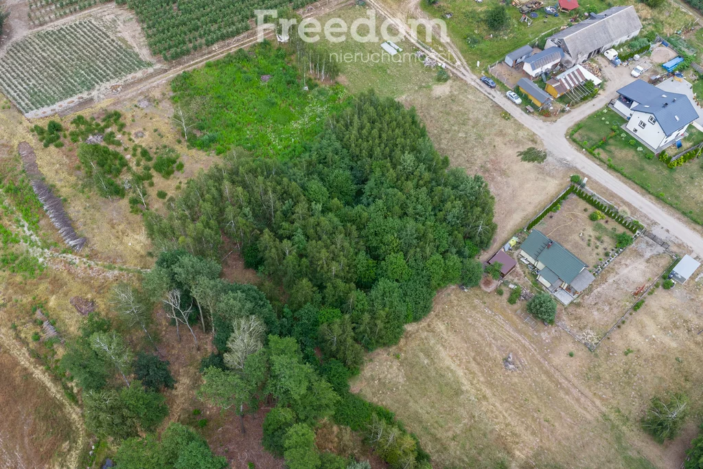 Działka 4 000,00 m², oferta nr , 10918/3685/OGS, Badowo-Dańki