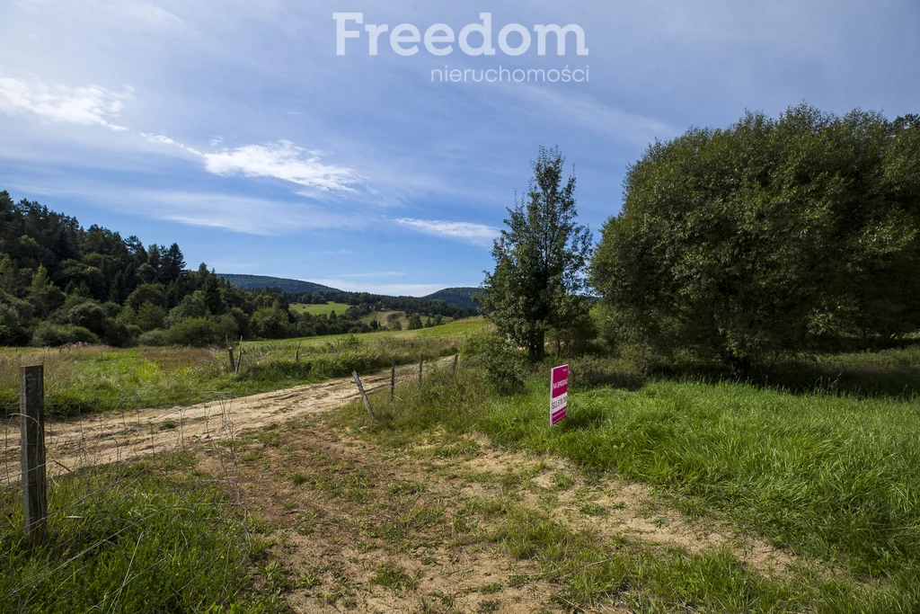 Działka 147 940,00 m², oferta nr , 11243/3685/OGS, Bandrów Narodowy