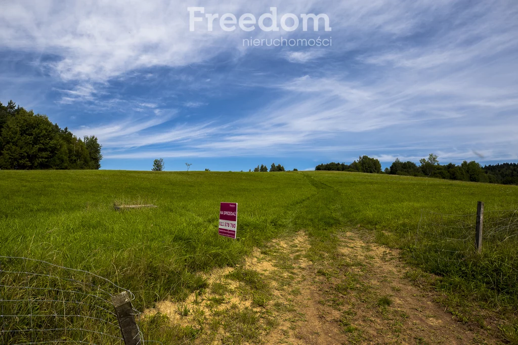 Działka 147 940,00 m², oferta nr , 11243/3685/OGS, Bandrów Narodowy