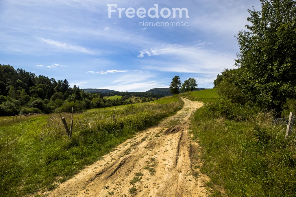 Działka 147 940,00 m², oferta nr , 11243/3685/OGS, Bandrów Narodowy