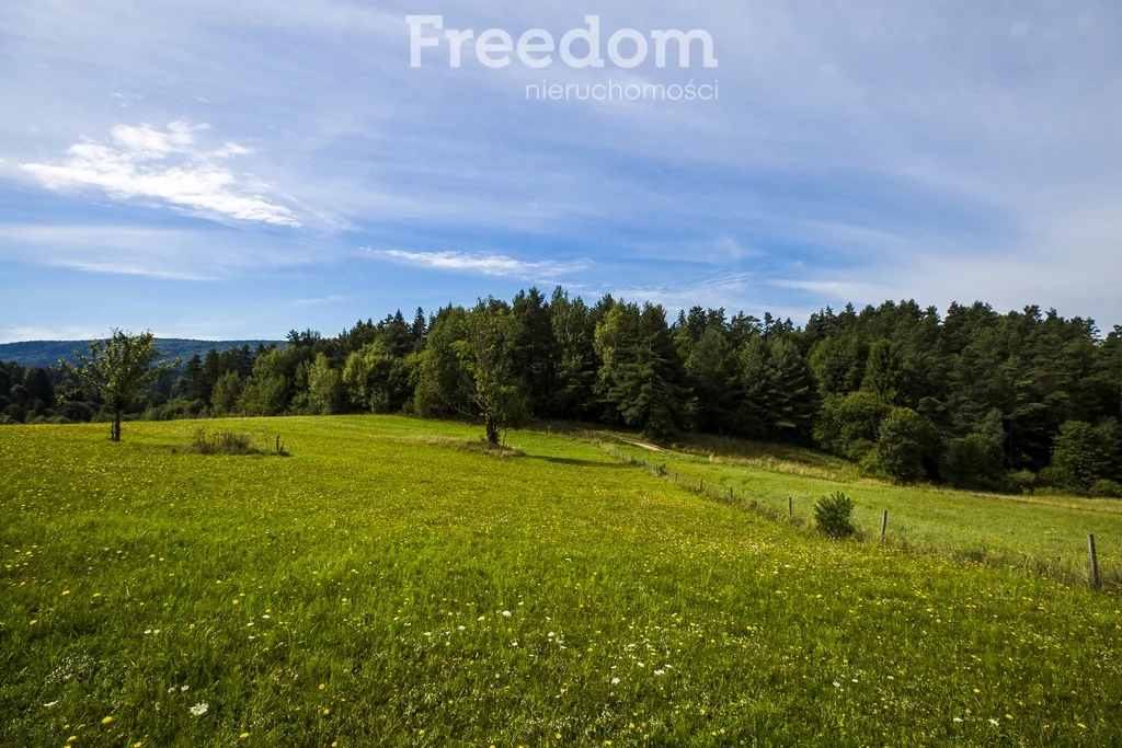 Działka 147 940,00 m², oferta nr , 11243/3685/OGS, Bandrów Narodowy