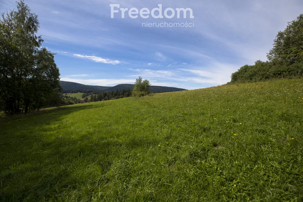 Działka 147 940,00 m², oferta nr , 11243/3685/OGS, Bandrów Narodowy