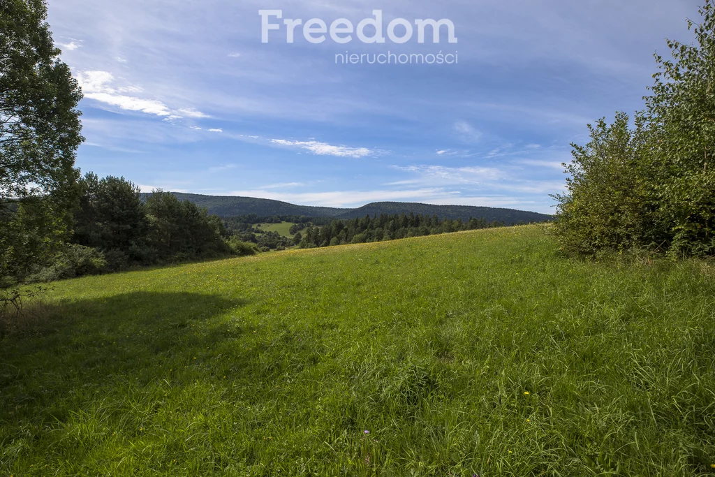 Działka 147 940,00 m², oferta nr , 11243/3685/OGS, Bandrów Narodowy