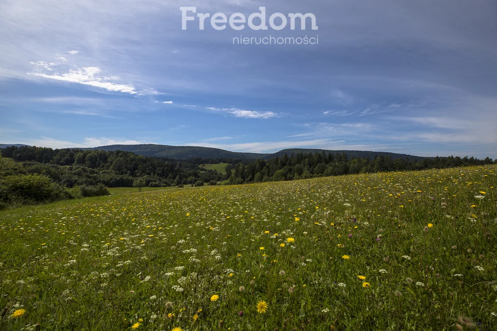 Działka 147 940,00 m², oferta nr , 11243/3685/OGS, Bandrów Narodowy