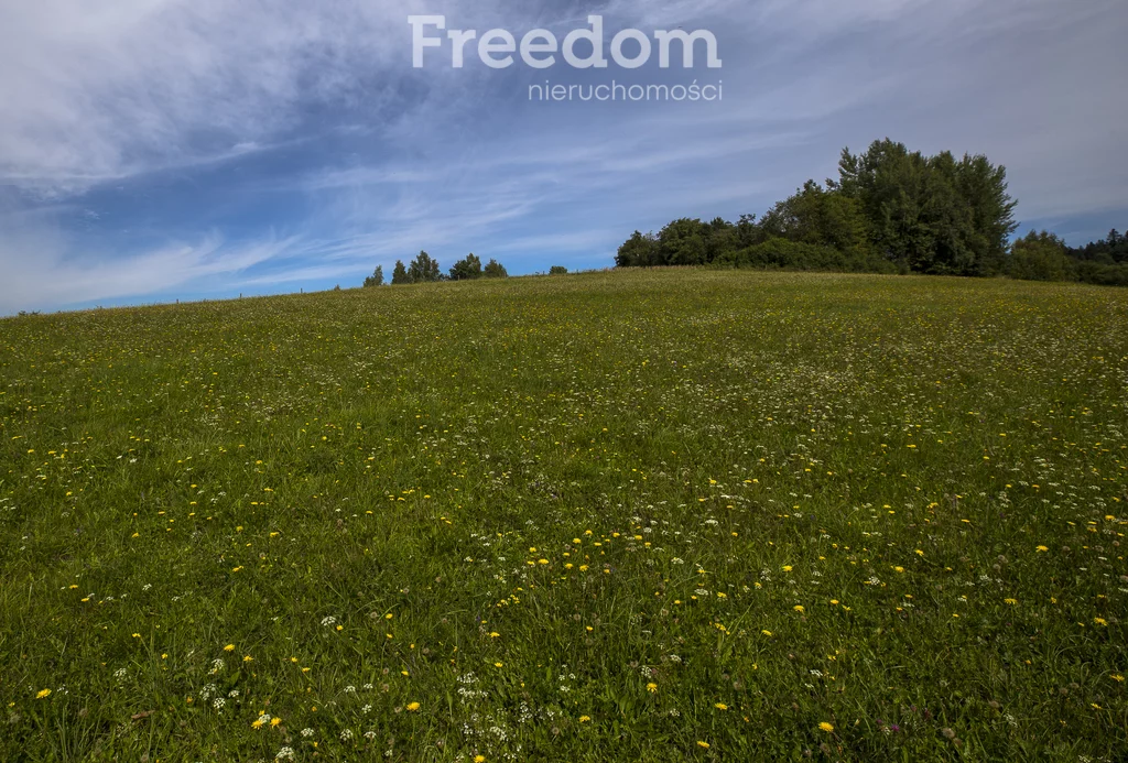 Działka 147 940,00 m², oferta nr , 11243/3685/OGS, Bandrów Narodowy