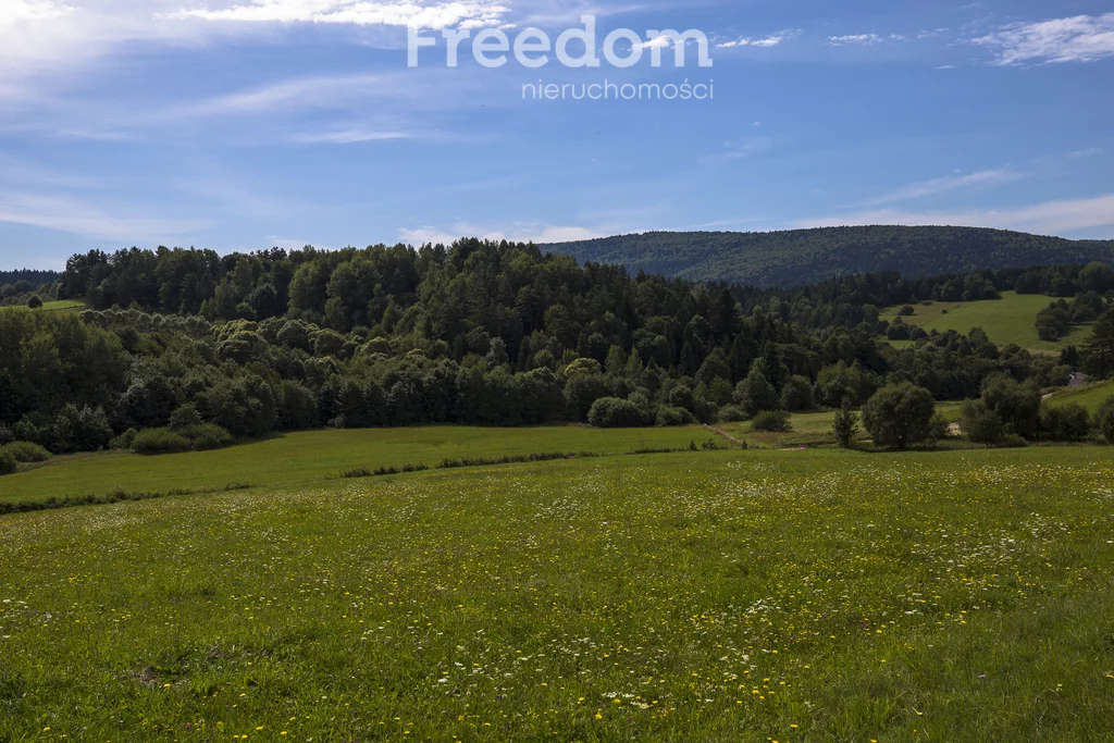 Działka 147 940,00 m², oferta nr , 11243/3685/OGS, Bandrów Narodowy