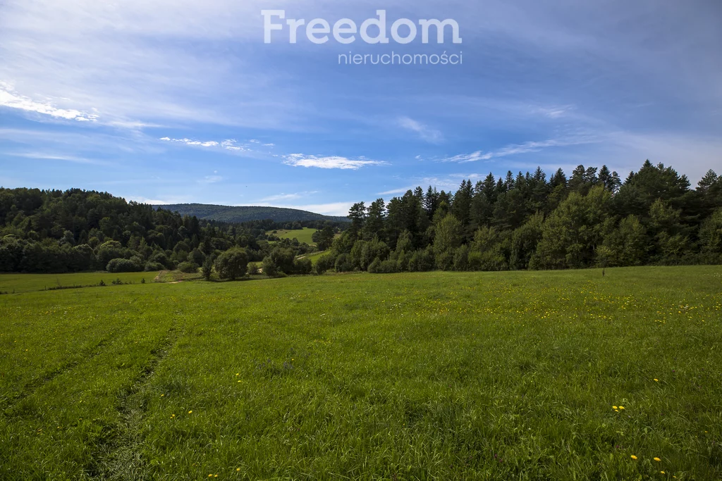 Działka 147 940,00 m², oferta nr , 11243/3685/OGS, Bandrów Narodowy