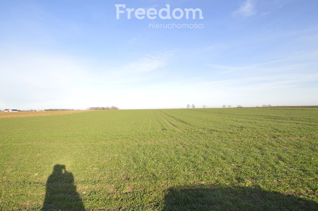 Działka 26 300,00 m², oferta nr , 9917/3685/OGS, Baranów