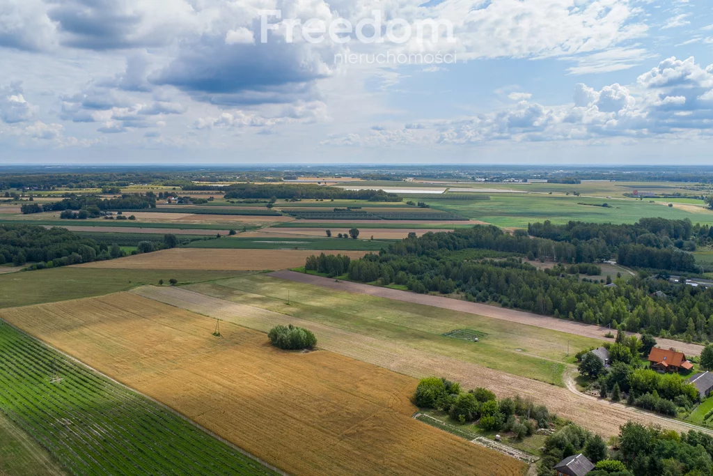Działka 4 200,00 m², oferta nr , 11005/3685/OGS, Barcice Drwalewskie