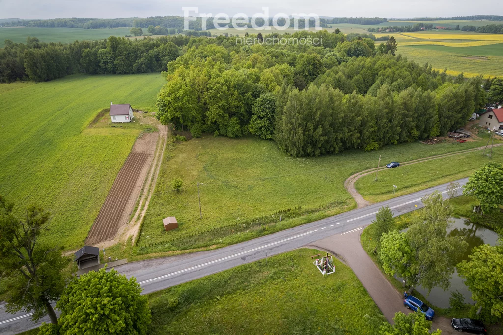 10588/3685/OGS - zdjęcie nr 1