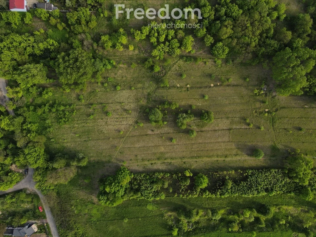 Działka 6 931,00 m², oferta nr , 4479/3685/OGS, Będzin